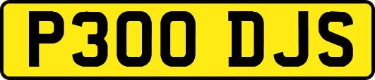 P300DJS