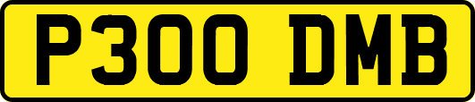 P300DMB