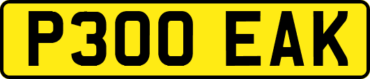 P300EAK