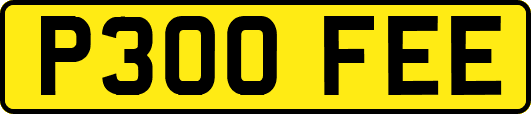 P300FEE