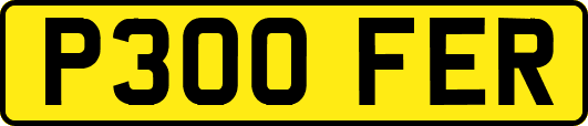 P300FER