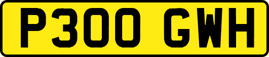 P300GWH