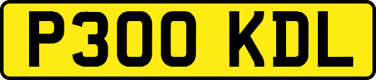P300KDL