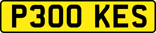 P300KES