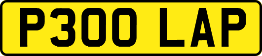 P300LAP