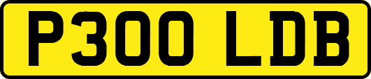 P300LDB