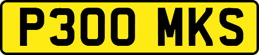 P300MKS