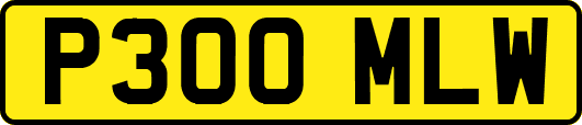 P300MLW