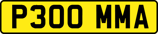 P300MMA