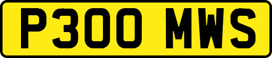 P300MWS
