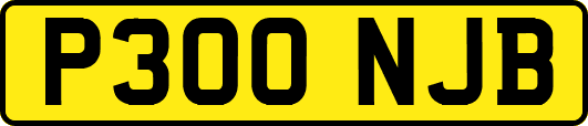 P300NJB