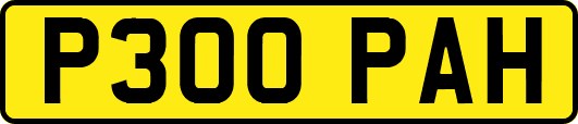 P300PAH