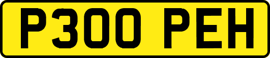 P300PEH