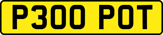 P300POT