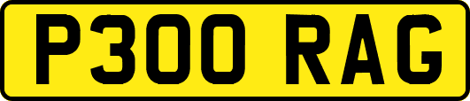 P300RAG