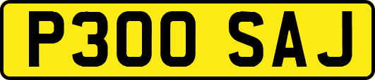 P300SAJ