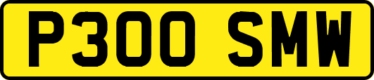 P300SMW