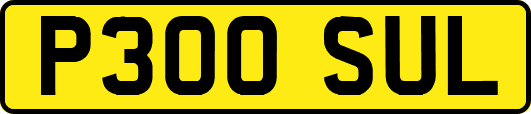 P300SUL