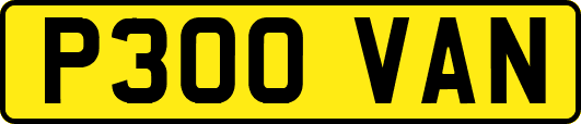 P300VAN
