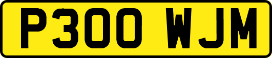 P300WJM
