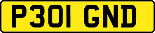 P301GND