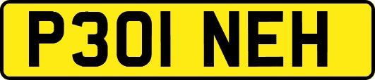 P301NEH