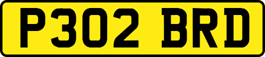P302BRD