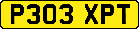 P303XPT