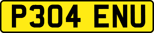 P304ENU