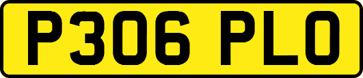 P306PLO