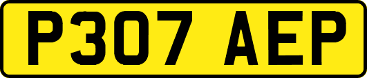 P307AEP