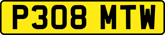 P308MTW