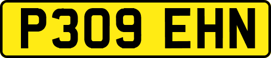 P309EHN