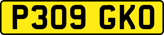 P309GKO