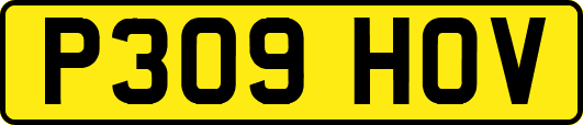 P309HOV