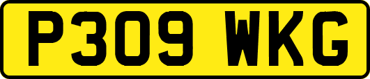 P309WKG