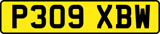 P309XBW