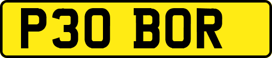P30BOR