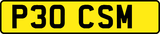 P30CSM