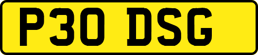 P30DSG