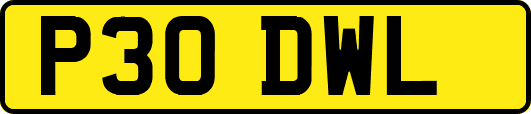 P30DWL