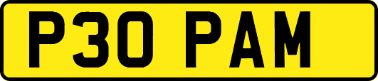 P30PAM