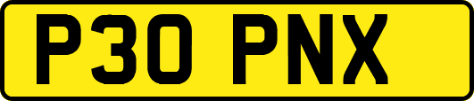 P30PNX