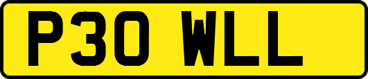 P30WLL