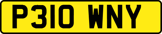 P310WNY
