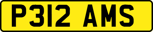 P312AMS