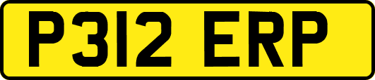 P312ERP