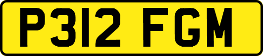 P312FGM