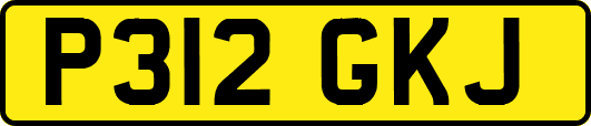 P312GKJ