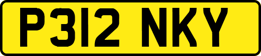 P312NKY
